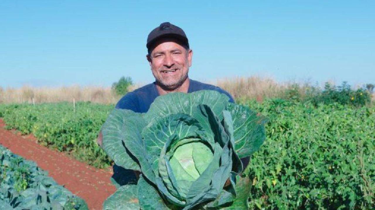 Agricultura familiar tem até dezembro para renegociar débitos pelo Desenrola Rural
