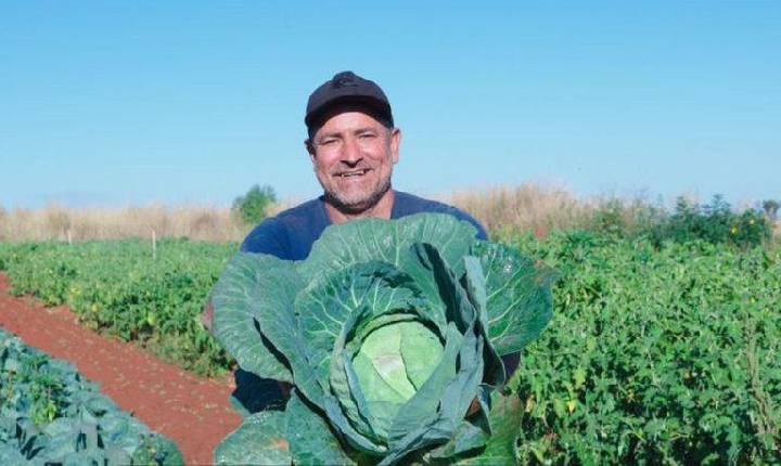 Agricultura familiar tem até dezembro para renegociar débitos pelo Desenrola Rural