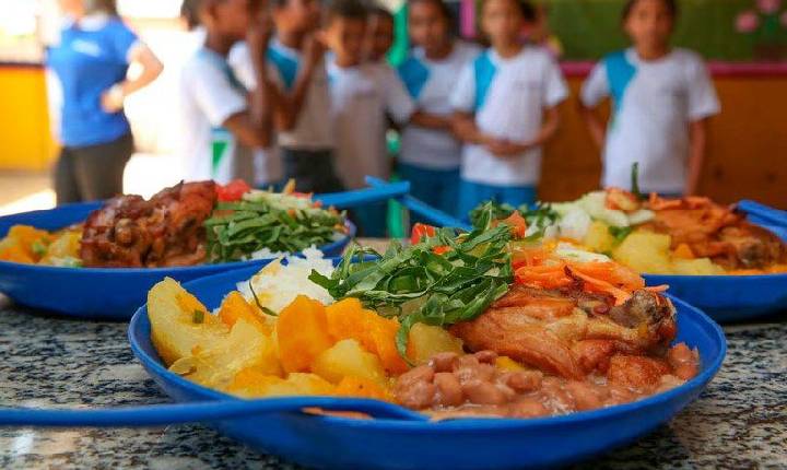 Comissão debate reajuste automático anual no Programa Nacional de Alimentação Escolar