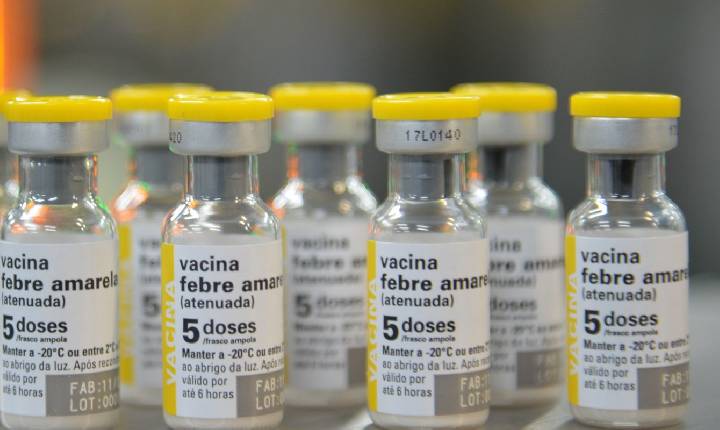 Governo de SP reforça vacina contra febre amarela na região do ABC