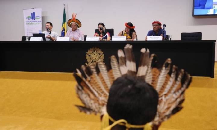 Lideranças defendem indígenas em espaços de decisão e proteção de territórios em seminário na Câmara