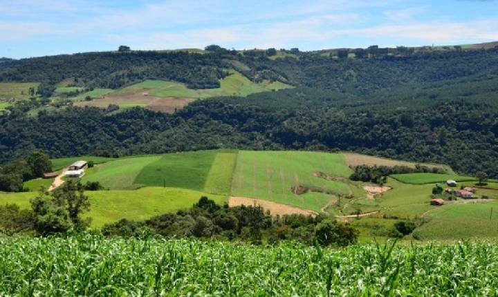 Mais de 1,6 mil famílias de comunidades quilombolas do MA são incluídas no Programa de Reforma Agrária