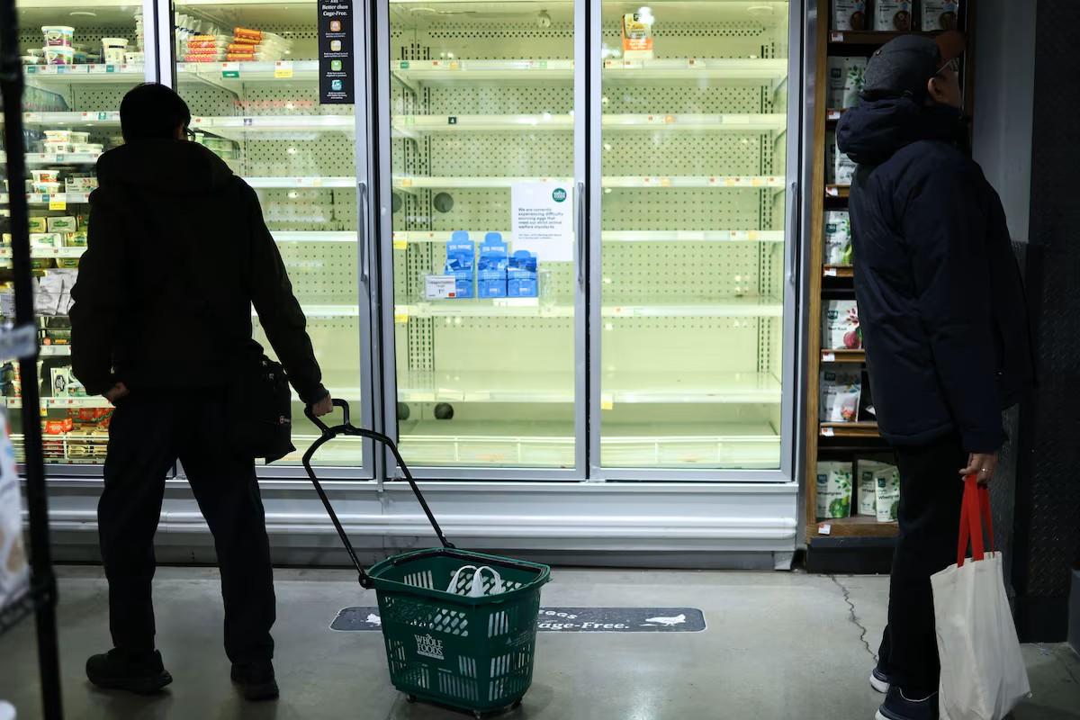 EUA investigam produtores de ovos por causa da alta de preços