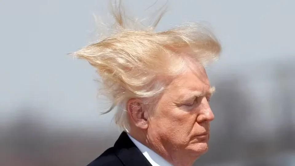 Nas redes, maioria absoluta das postagens critica tarifas de Trump e submissão dos bolsonaristas