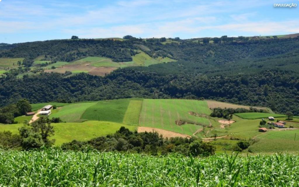 Mais de 1,6 mil famílias de comunidades quilombolas do MA são incluídas no Programa de Reforma Agrária