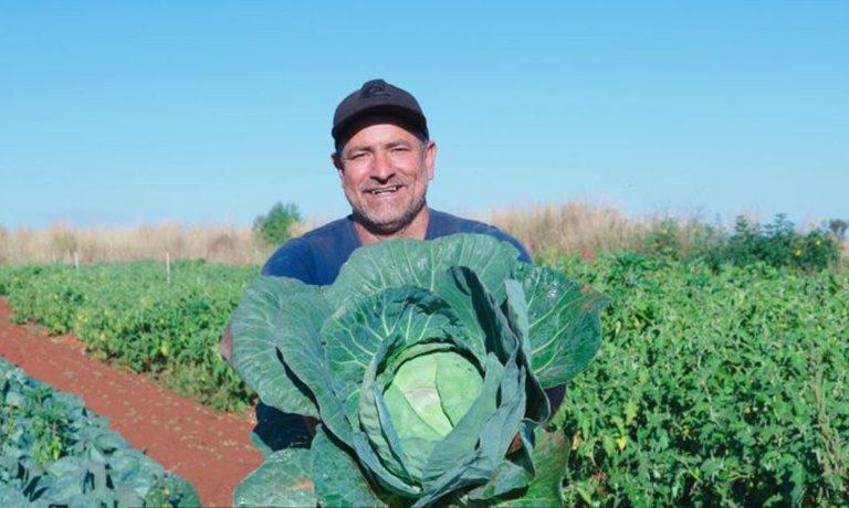 Agricultura familiar tem até dezembro para renegociar débitos pelo Desenrola Rural